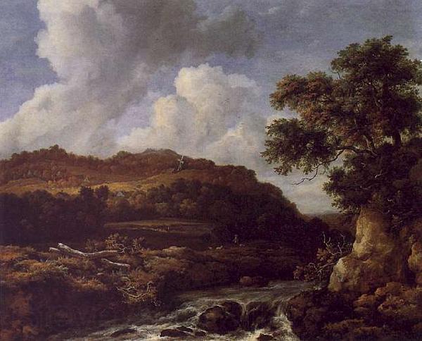 Jacob van Ruisdael The Great Forest Spain oil painting art